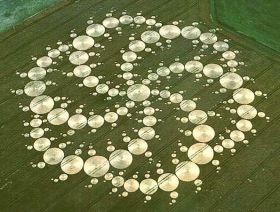 Crop Circle Mandala - photo by Suzanne Taylor