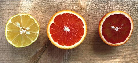 Citrus Mandalas - photo by First Alternative Co-op