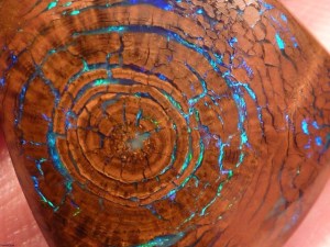 Opalized Wood Mandala