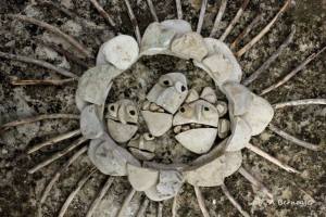 Family by Alain Bernegger