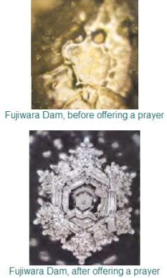 Before/After Offering a Prayer