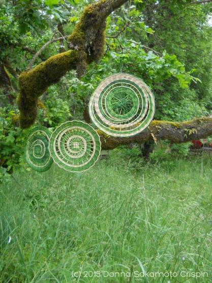 Reed Mandalas by Donna Sakamoto Crispin