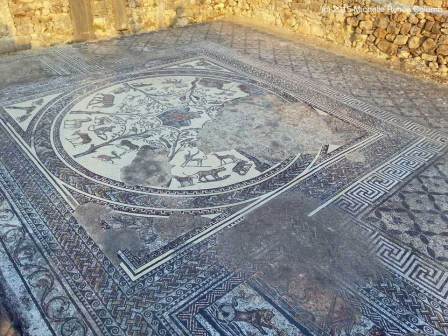 House of Orpheus - photo by Michelle Renee Columb