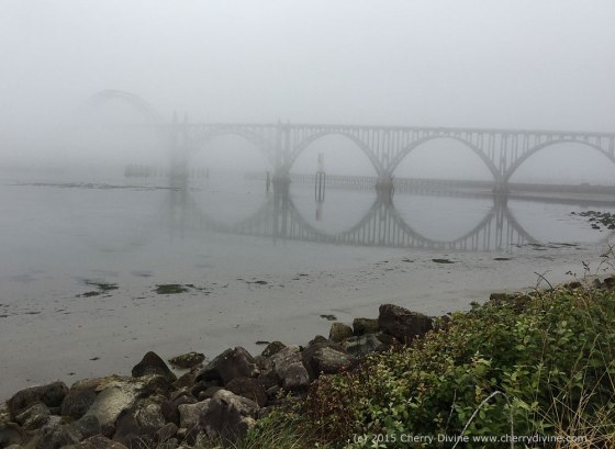 Reflections - photo by Cherry Divine