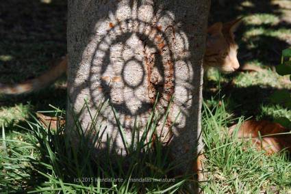 Shadow Mandala