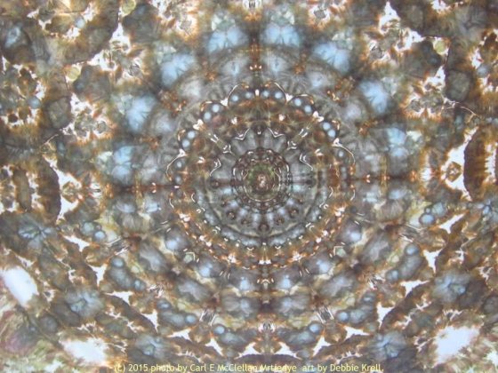 Kaleidoscope by Debbie Krell