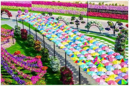 Umbrella Pathway from above