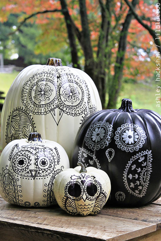 Sharpie Owl Pumpkins by Ashley Hackshaw