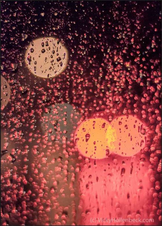 Raindrops by Vicky Hollenbeck