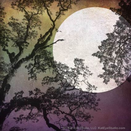 Harvest Moon by Kat Sloma