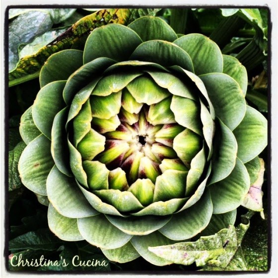Artichoke - photo by Christina's Cucina