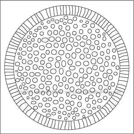 Under a Microscope by Maureen Frank (me)