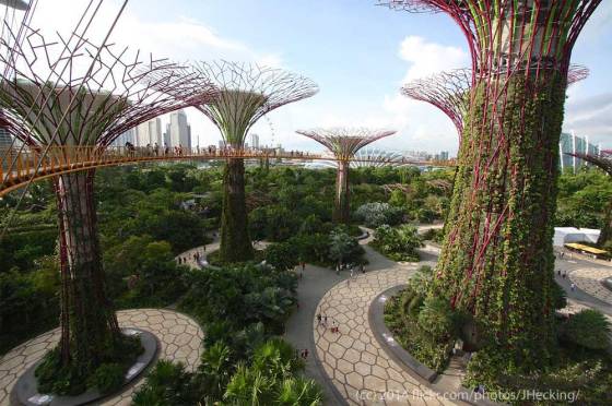 Gardens by the Bay, Singapore - source: flickr.com/photos/jhecking/