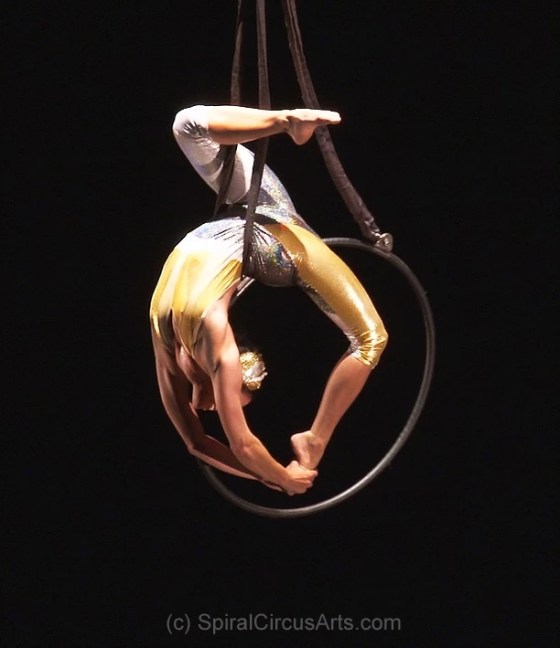 Aerial Hoop by Spiral Circus Arts