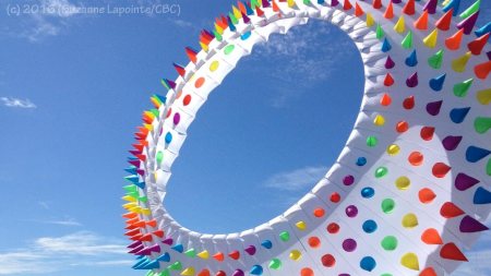 Kite of Cones - source: CBC News