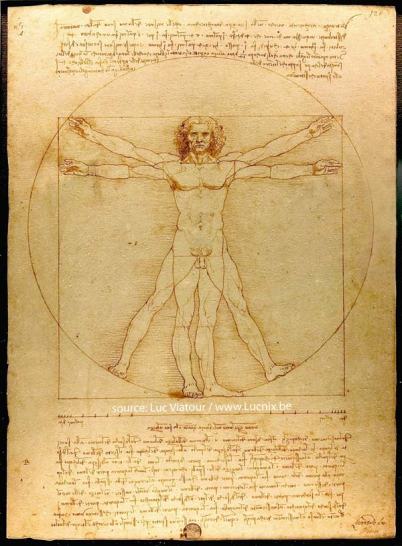 da Vinci's Vitruvian Man - photo source: www.Lucnix.be