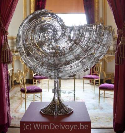 Laser-Cut Stainless Steel Nautilus by Wim Delvoye