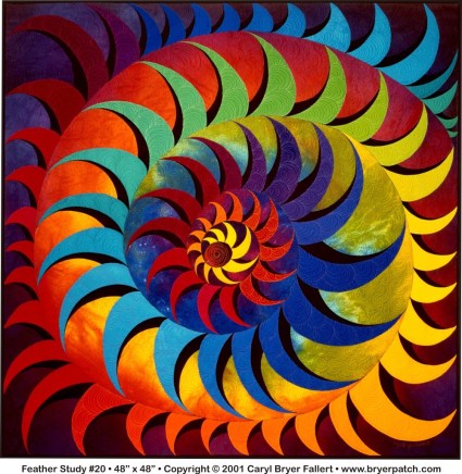 Feather Study Quilt by BryerPatch.com